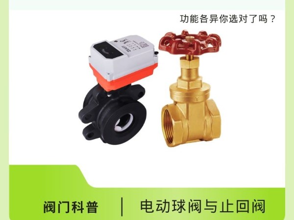 閥門科普：電動球閥VS止回閥，功能各異你選對了嗎？