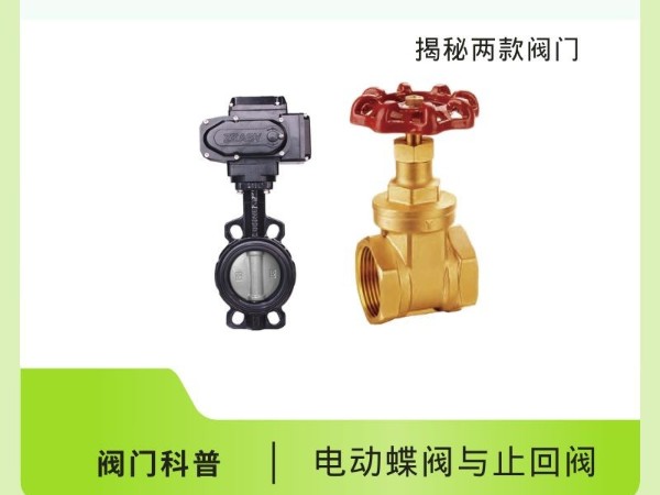 電動蝶閥與止回閥：揭秘兩款閥門的獨門絕技！