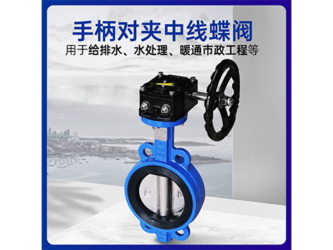 對(duì)夾渦輪中線蝶閥