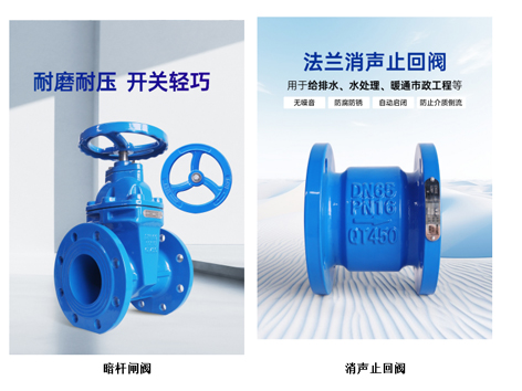 水泵出水管先裝止回閥還是先裝閘閥-艾德默閥門(mén)