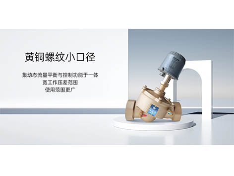 動態(tài)壓差平衡電動調(diào)節(jié)閥的結(jié)構(gòu)、分類、特點、選擇及維護使用